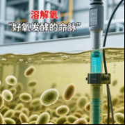生物发酵中溶解氧与能量代谢的分子机制与调控策略